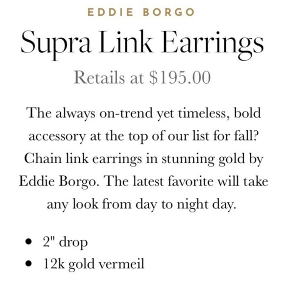 EDDIE BORGO Chain Link Necklace & Earrings set - Picture 5 of 12